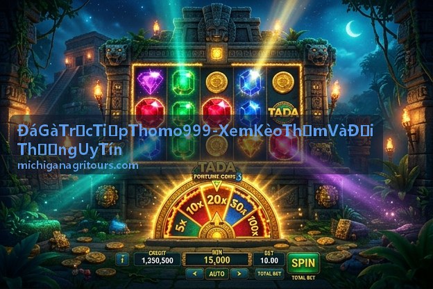 Đá Gà Trực Tiếp Thomo 999 - Trận đấu đỉnh cao