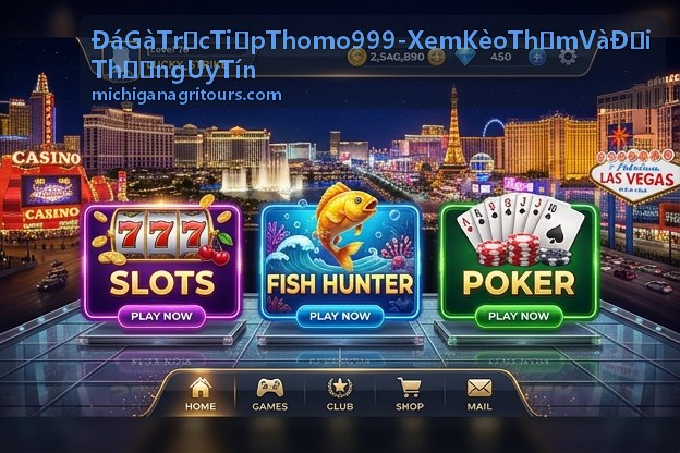 Đá Gà Trực Tiếp Thomo 999 - Video phân tích trận đấu