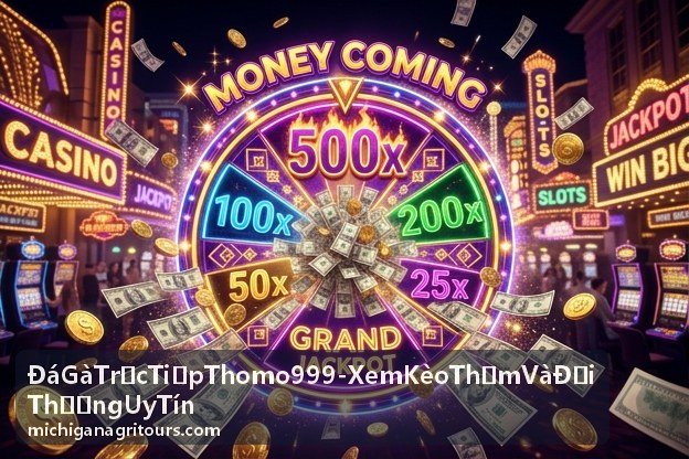 Đá Gà Trực Tiếp Thomo 999 - Hình ảnh trường gà