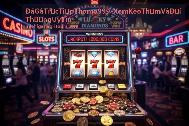 Đá Gà Trực Tiếp Thomo 999 - Hướng dẫn đặt cược